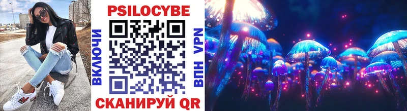 Псилоцибиновые грибы Psilocybe  Краснослободск 